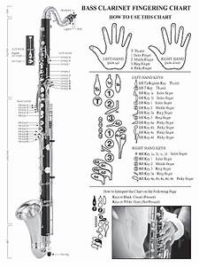 Basic Instrumental Chart For Bass Clarinet Linton Milano Music