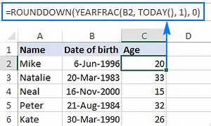 Download Convert Birthdate To Age Gantt Chart Excel Template