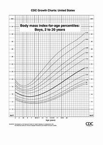 Cdc Growth Charts Bmi Boys 2 To 20 Years Printable Pdf Download