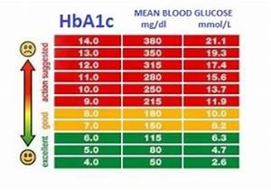 Importance Of Monitoring Blood Glucose Levels Health Life Media