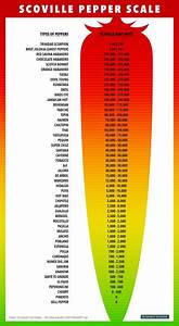 Here 39 S The Scientific Scale Used To Classify Spicy Food Spicy Chile