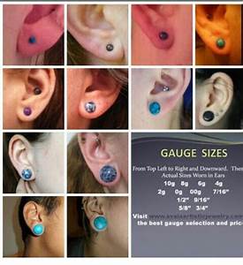 Pin On Tattoos Stretched Ears Piercings