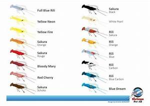 Aquarium Shrimp Chart