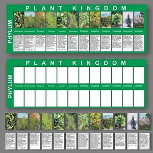Image Result For Montessori Botany List Of Impressionistic Charts