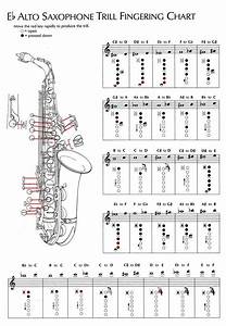 14 Best Saxophones Images On Pinterest Alto Saxophone Music 736x1063