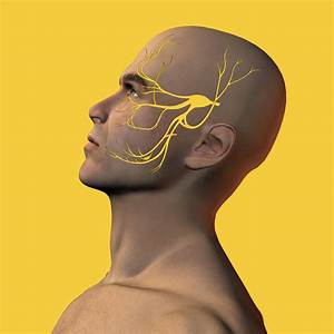 Nerve Volumes Predict Surgical Outcome In Patients With Trigeminal