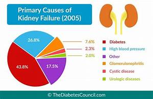 Diabetes And Renal Failure Everything You Need To Know