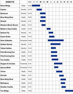 hatch chart the missoulian angler fly shop