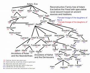 Family Tree Of Adam