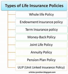 Articles Junction Types Of Life Insurance Policies Life Insurance