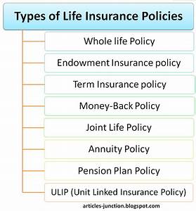 articles junction types of life insurance policies life insurance