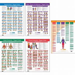 Trigger Point Charts 5 Chart Set Kent Health System