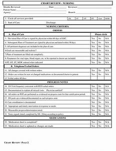 Nursing Chart Review Template Download Printable Pdf Templateroller