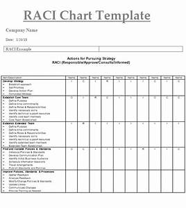 Raci Chart Templates 4 Free Printable Word Excel Pdf