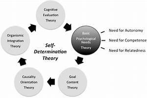 Overview Of Self Determination Theory Sdt The Five Mini Theories