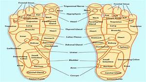 Acupressure Points Chart For Relieving Acupressure Points