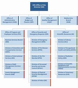 Osd Policy Organization Chart