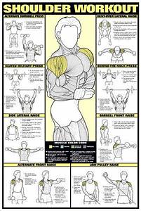 The Algra Fitnus Collection Of Professional Fitness Wall Chart Posters