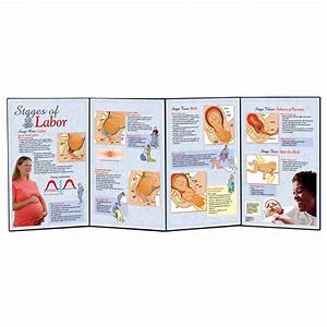Six Essential Labor Birth Charts Childbirth Graphics