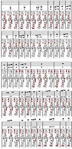 Clarinet Chart Azg Musical Inc