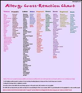 Allergy Cross Reaction Chart Mygutsy Com Food Allergies