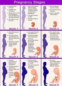 Editable Printable Pregnancy Calendar Month By Month