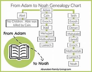 Abundant Family Living From Adam To Noah Bible Family Tree Family