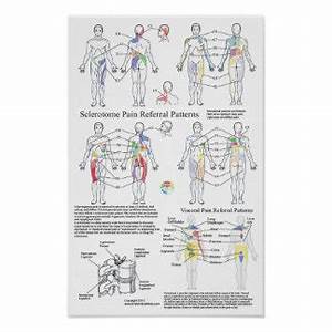 Medical Posters Zazzle Co Nz