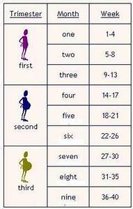 On Air And Pregnancy Months Chart