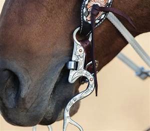 The Western Guide To Types Of Bits How To Pick A Bit For Your Horse Nrs