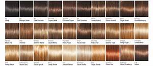 Raquel Welch Wig Color Chart