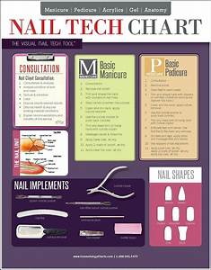 Nail Tech Chart 2 Sided Laminated Quick Reference Guide Cosmetology