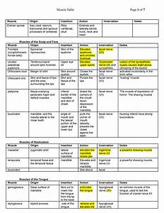 muscle table 2019 muscle origin action innervation notes