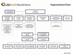 Organizational Chart Louisiana State University Health Sciences