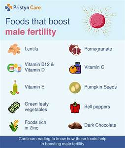 Top 10 Foods To Increase Fertility Pristyn Care