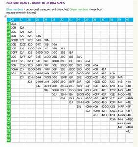 Uk Bra Size Conversion Chart