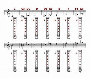 free 7 recorder finger chart samples in pdf