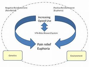 Cycle Of Chronic And Addiction Real Psychiatry Technical Blog