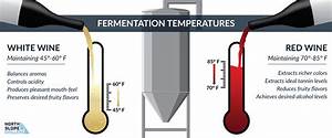 Wine Temperatures For Fermentation And Storage