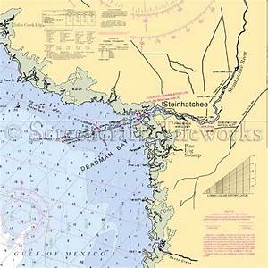 Florida Steinhatchee Deadman Bay Nautical Chart Decor Nautical