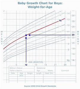 Age And Weight Chart Unique Baby Growth Chart The First 24 Months
