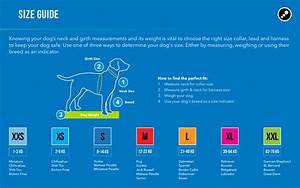 Dog Collar Sizing Chart Buyrogz Com Redefined And Refined Pet Gear