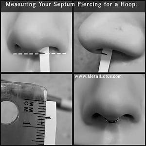 46 Horseshoe Septum Piercing Size Chart Background