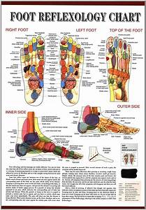 Reflexology Oils Reflexology Foot Chart Spine Health Body Health