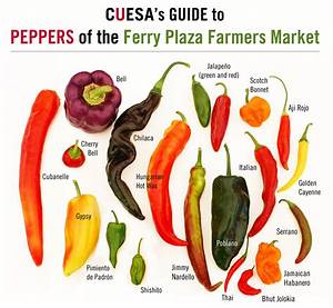 From Sweet To Heat A Guide To Picking Peppers At The Farmers Market