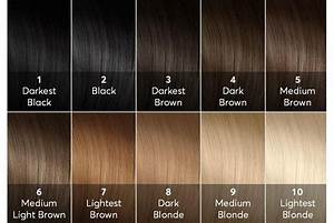 Hair Color Levels Chart High Lift Hair Color Hair Levels 