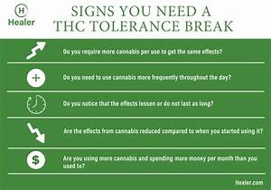 A Guide To Cannabis Tolerance Breaks Thc Tolerance Healer