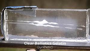 Why Ballistics Gel Works And Caliber Arguments Are Dumb Laptrinhx News