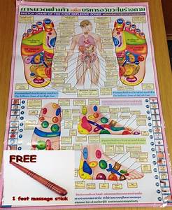 Reflexology Thai Foot Health Chart Free Wooden Stick