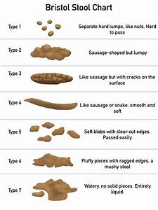What Does Your Poo Look Like Bristol Stool Chart Lystra Physical
